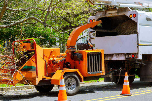 Best Tree and Shrub Care  in Pearl Beach, MI